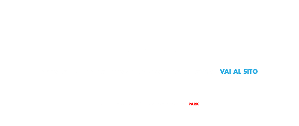  Sto caricando ... Una volta che la pagina web è stata caricata seleziona " VAI AL SITO " NOTA: l'automobile deve trovarsi in modalità PARK 